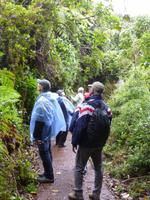 Wanderung im Nationalpark Vulkan Poas