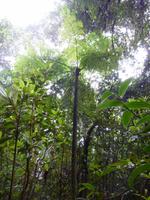 Im Nationalpar Vulkan Poas