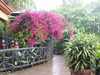 Im La-Paz-Waterfall-Garten