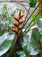 La-Paz-Waterfalls San Jose