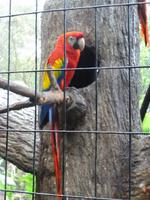La-Paz-Waterfalls San Jose