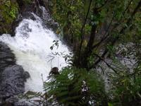 Magia Blanca-Wasserfall