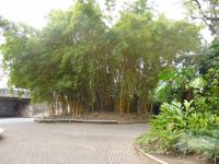 Spanischer Garten in San Jose