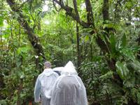 Im Nationalpark Nacional Braulio Carillo