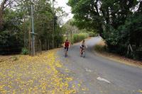 hier geht es mal bergab :-)