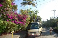 Unsere Räder werden AUF den Bus verladen