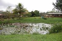 Landidylle in Costa Rica