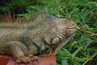 Bitte recht freundlich