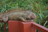 Bitte recht freundlich