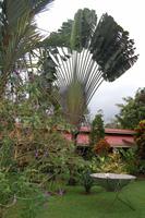 Anlage des Hotels Catarata Eco-Lodge in La Fortuna