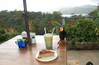 Bananenbrot und Pina Colada am Arenalsee