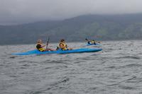 Hier kommt die Welle