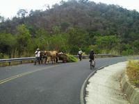 Auf dem Weg nach Lajas