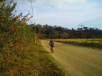 Radweg nach San Francisco de Coyote