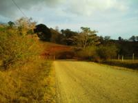 Landschaft bei San Francisco de Coyote