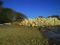 Am Fährhafen in Playa Naranjo