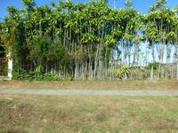 Fahrt in den Nationalpark Vulkan Poas