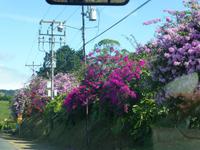 Fahrt in den Nationalpark Vulkan Poas