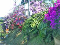 Fahrt in den Nationalpark Vulkan Poas