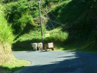 Fahrt in den Nationalpark Vulkan Poas