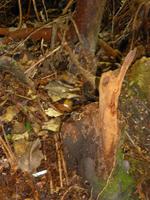 Wanderung zur Lagune