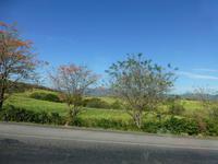 Fahrt nach San Ramon