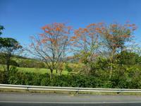 Fahrt nach San Ramon