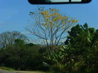 Fahrt nach San Ramon