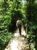 Nationalpark Vulkan Tenorio - Rio Celestre