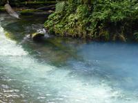 Nationalpark Vulkan Tenorio - Rio Celestre