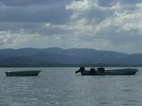 Bootsfahrt zu den Mangroven