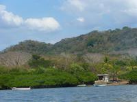 Bootsfahrt zu den Mangroven