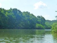 Bootsfahrt zu den Mangroven