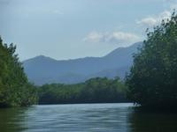 Bootsfahrt zu den Mangroven