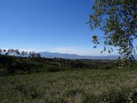 Kaffeeplantage am Vulcan Poas