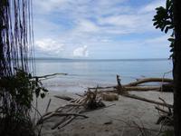 Cahuita Nationalpark