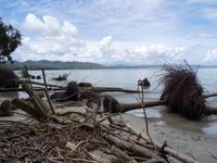 Cahuita Nationalpark