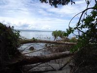 Cahuita Nationalpark