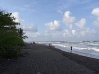 Tortuguero Strand