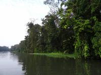 Auf den Kanälen von Tortuguero