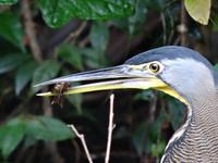 Die Jagd war erfolgreich!