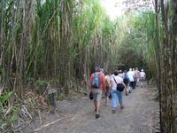 Wanderung am Arenal