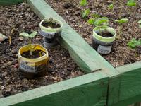 Kaffee & Schokoladentour in Monteverde