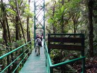 Sky Walk in Monteverde
