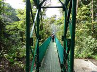 Sky Walk in Monteverde
