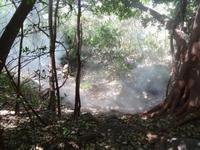 Rincon de la Vieja Vulkan Gebiet