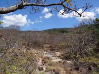 Savanne am Vulcan Rincon de la Vieja