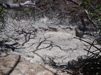 Fumarole am Vulcan Rincon de la Vieja