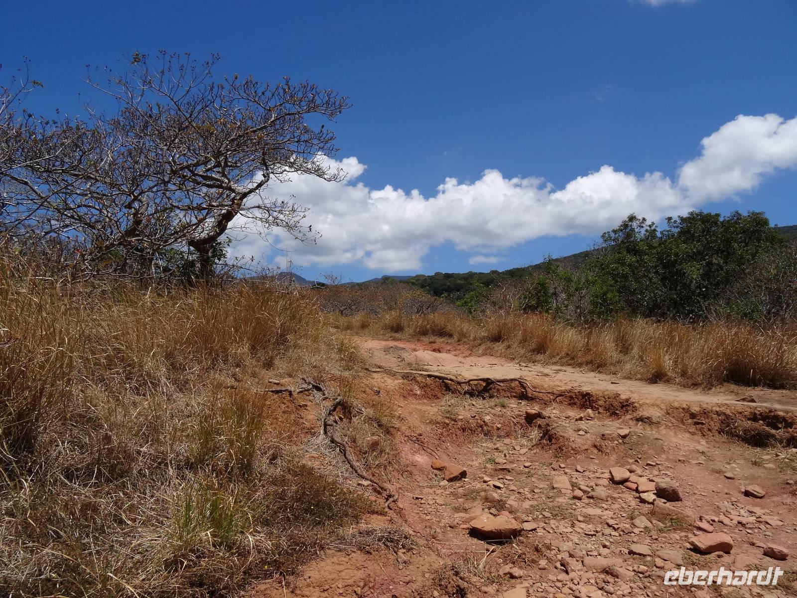 Savanne am Vulcan Rincon de la Vieja