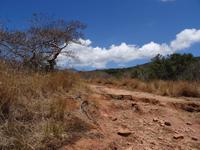 Savanne am Vulcan Rincon de la Vieja